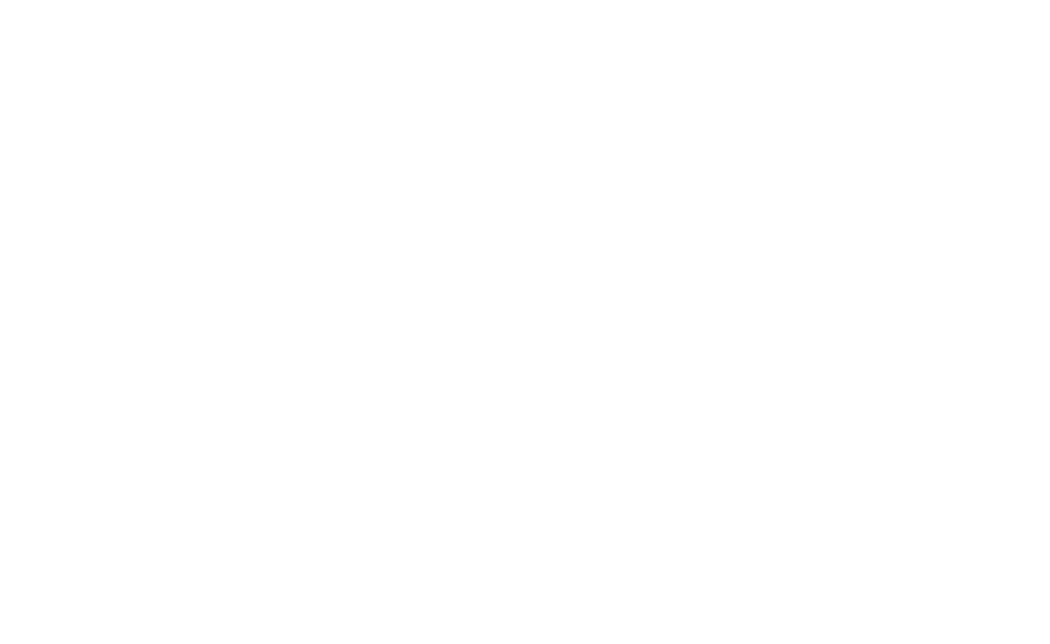 The Surf Experience