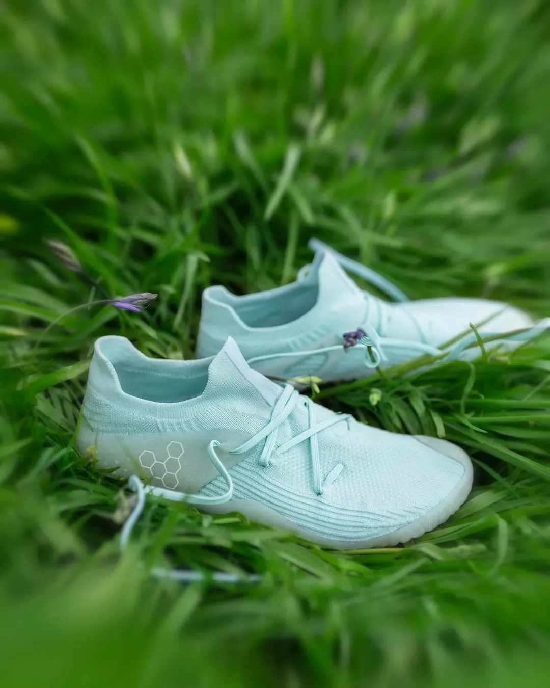 6553c2b8056953c4d4d1b6d2_vivo image 06-p-1080.webp