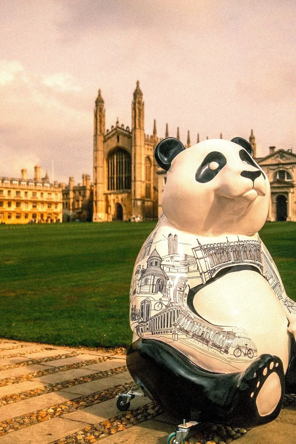 Panda Meander