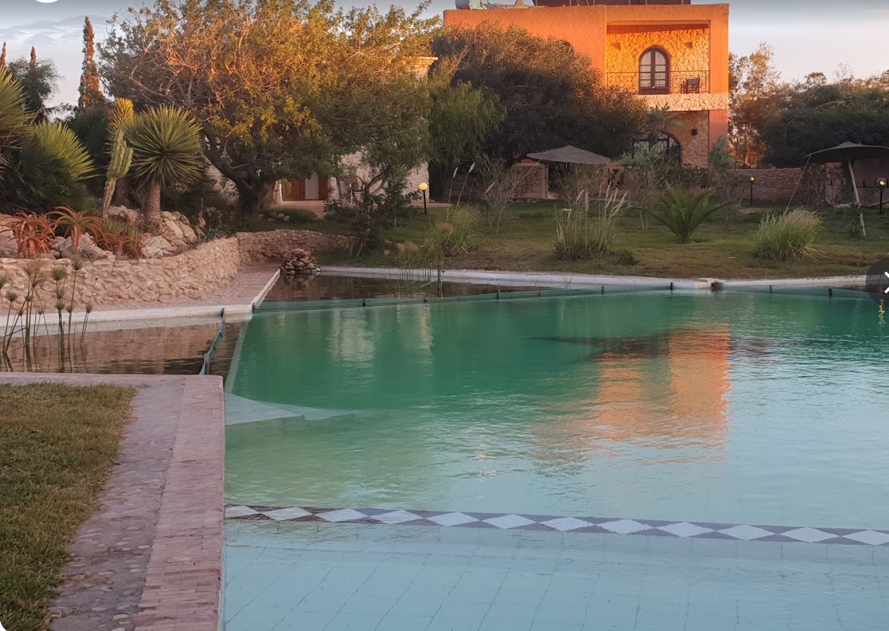 Natural swimming pool 