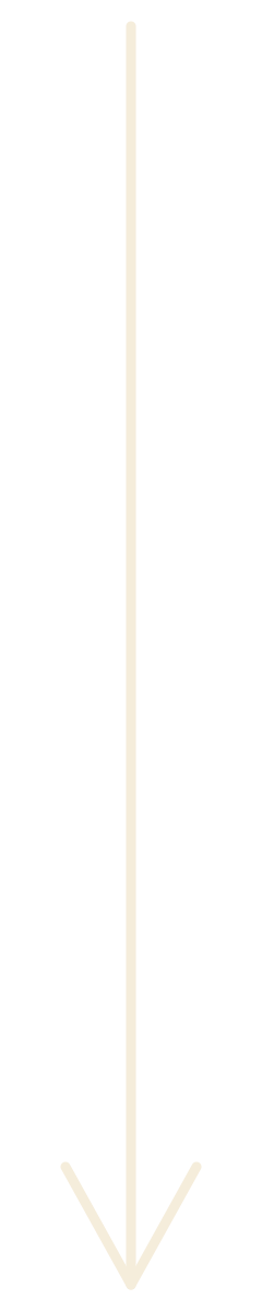A vertical metal pole with a pointed end, standing upright against a plain black background.