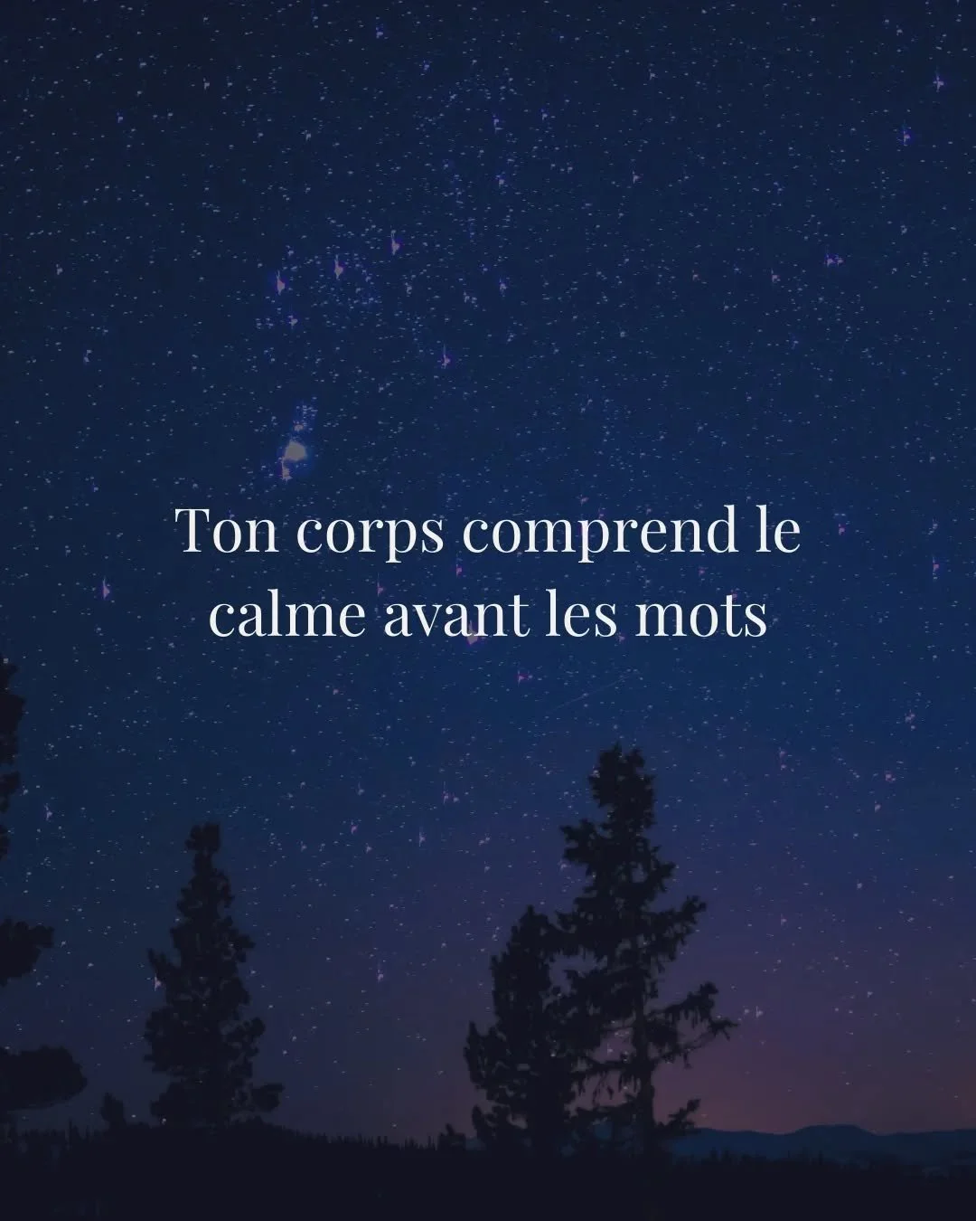 On croit souvent
que le corps a besoin
qu&rsquo;on lui explique.

Mais bien souvent,
il a surtout besoin
qu&rsquo;on ralentisse.

Le calme parle
avant les mots.

&bull; Enregistre si &ccedil;a te parle
&bull; Ou laisse un 🤍

Alix🌙

#preconception
#