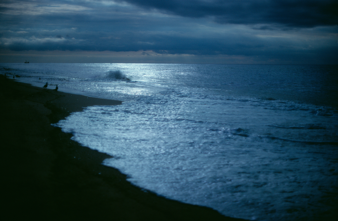 A dark, cloudy ocean shoreline with a few birds on the beach and waves crashing, under a moody sky.
