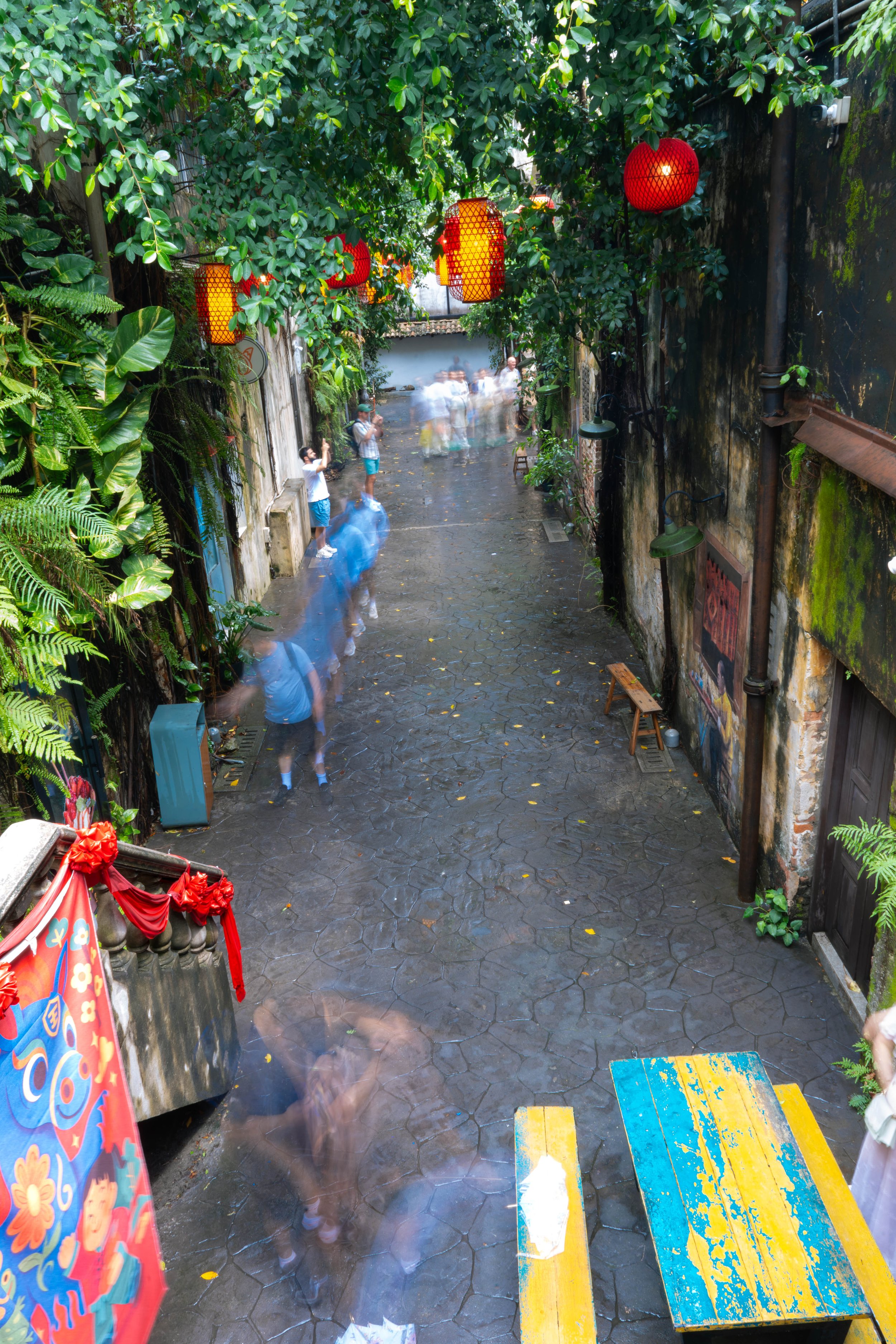 NZ6_4376.jpg