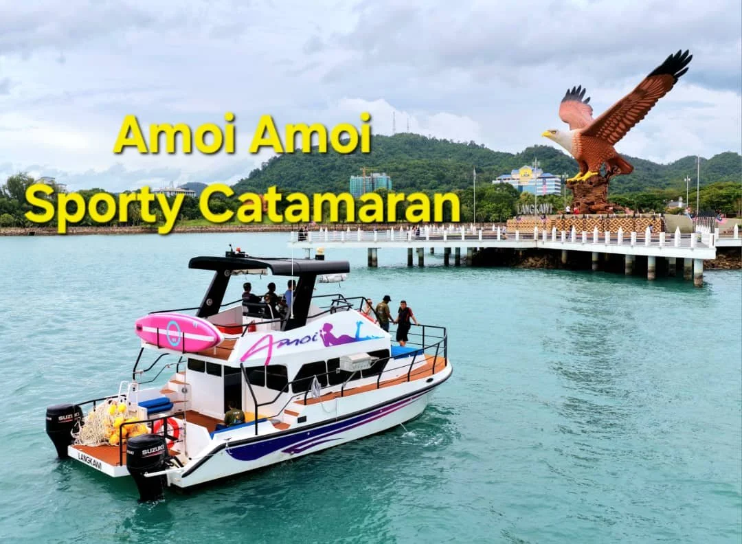 WhatsApp Image 2026-02-06 at 22.04.31.jpeg