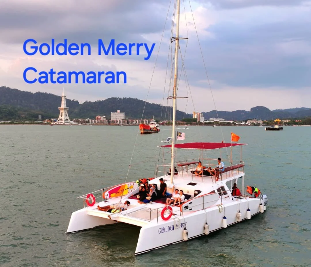 WhatsApp Image 2026-02-06 at 22.04.33.jpeg