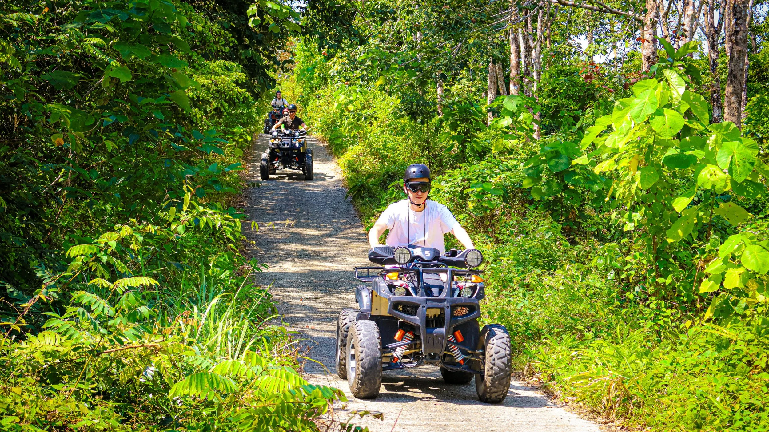 atv 5.jpg