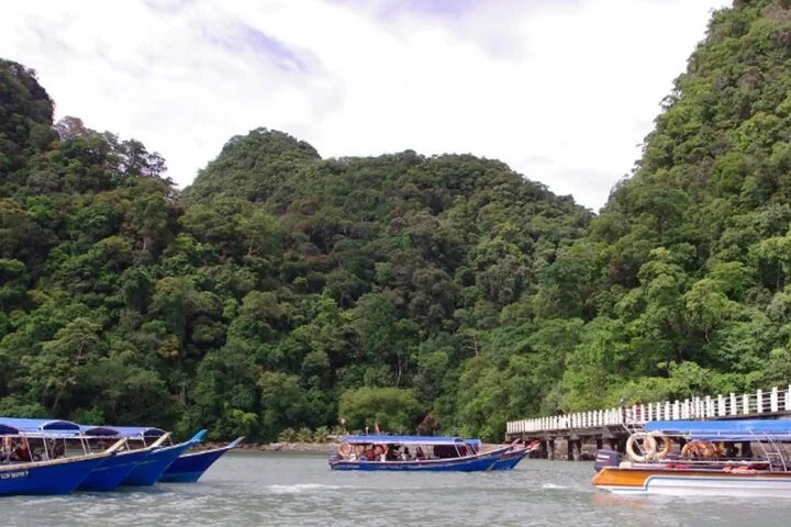 Tour boats docked near a lush, forested shoreline with green hills in the background and a cloudy sky.