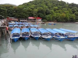 Several boats docked at a pier with a lush green hillside in the background.
