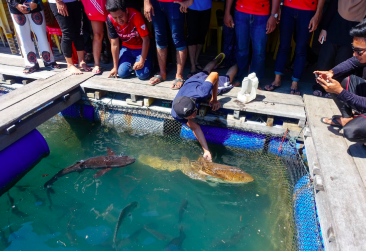 A group of people gathered around a small pond with several fish, including a person reaching into the water to touch a large fish, while others watch and take photos.