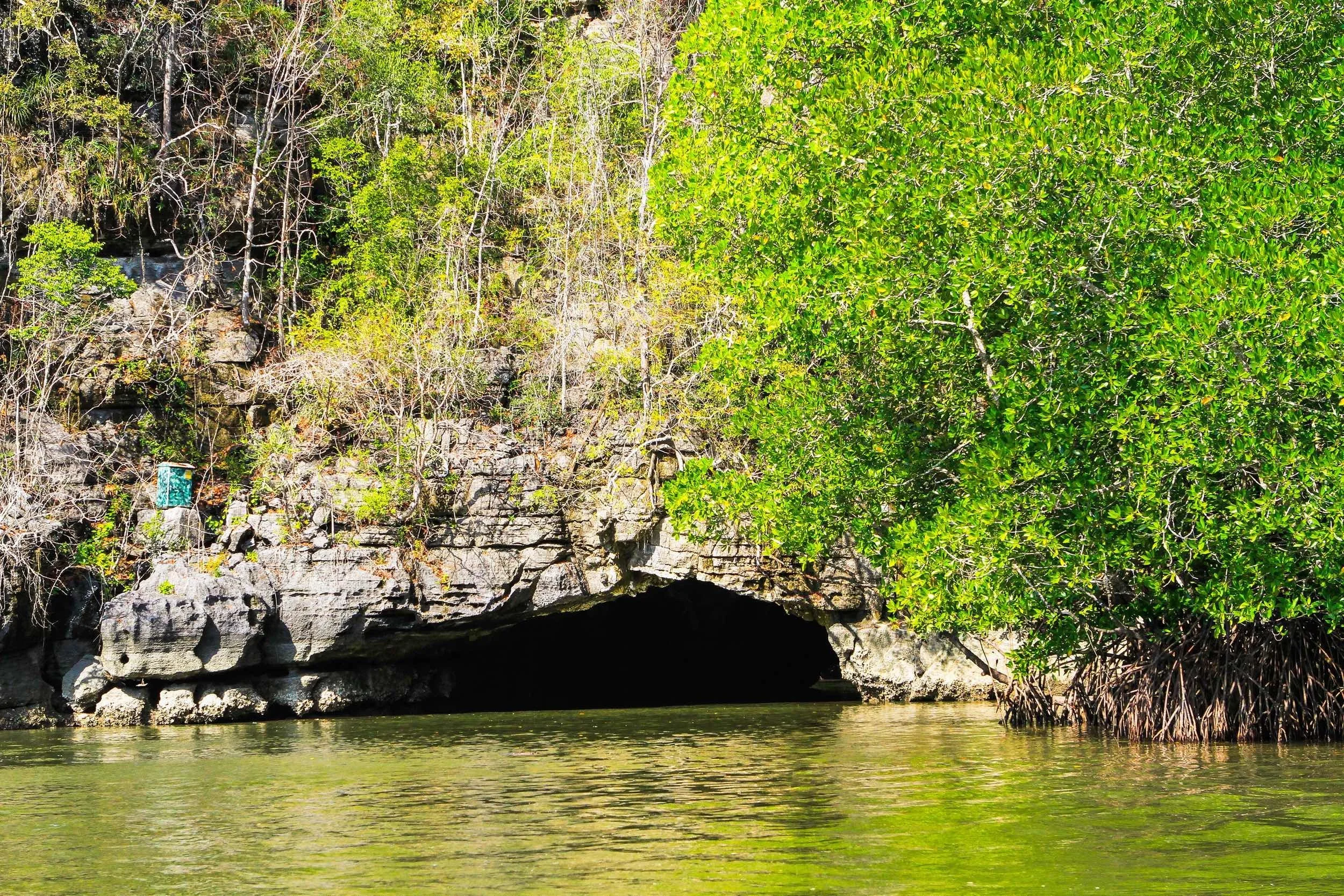 A river flowing past a rocky cave entrance surrounded by dense greenery and trees.