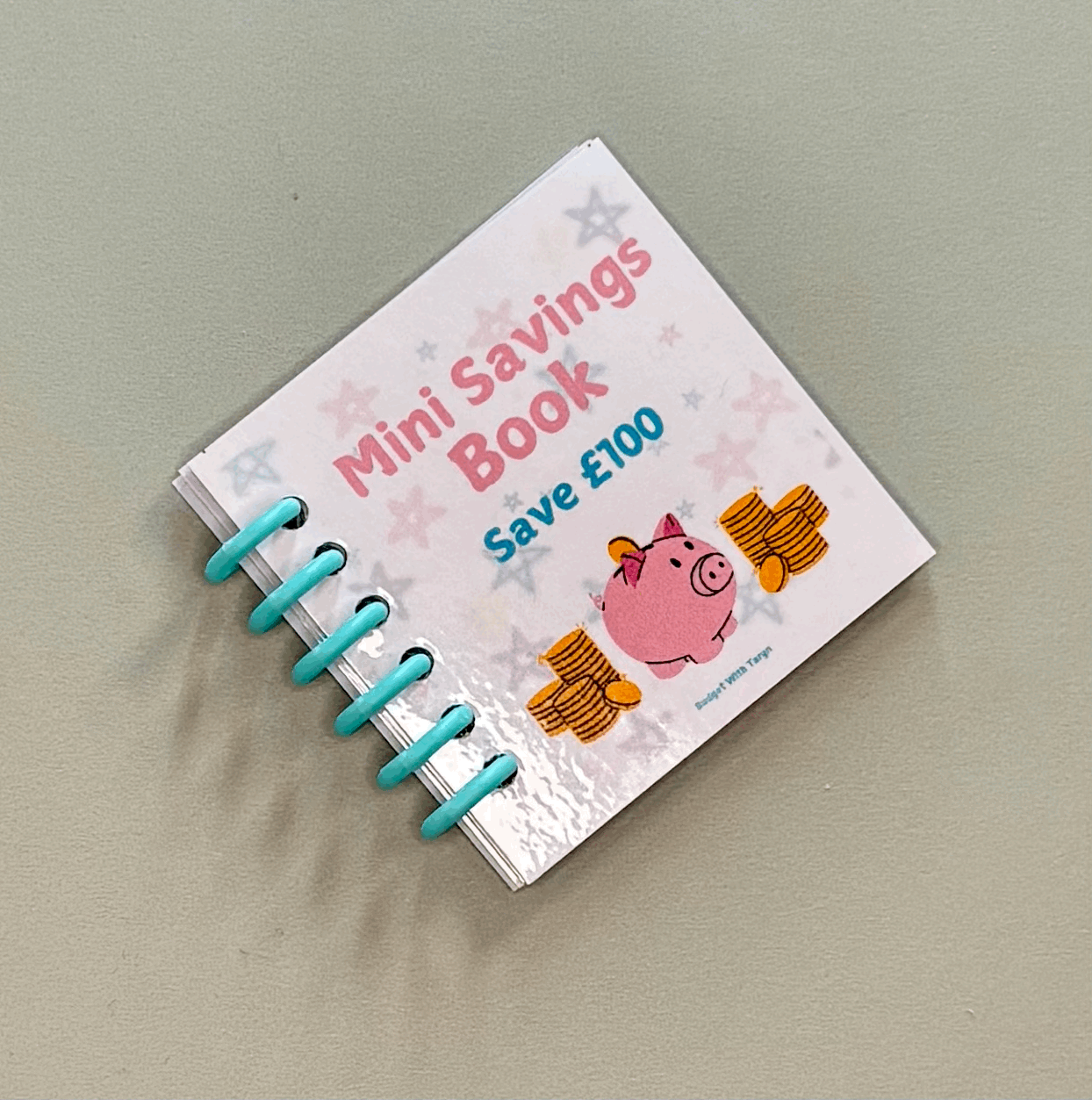 Mini Savings Book