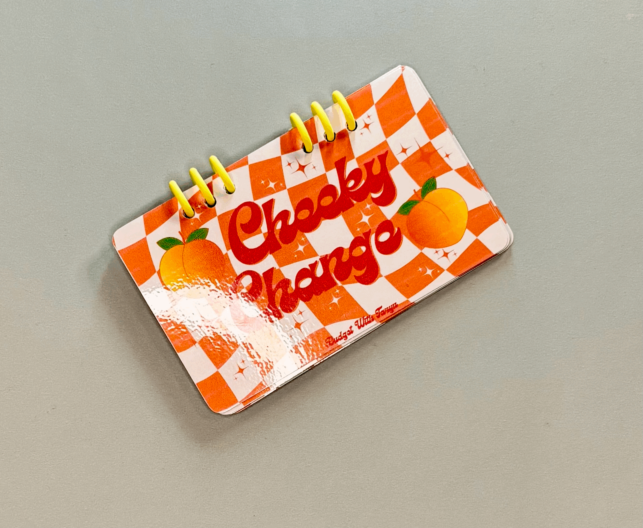 Cheeky Change Coin Saving Booklet