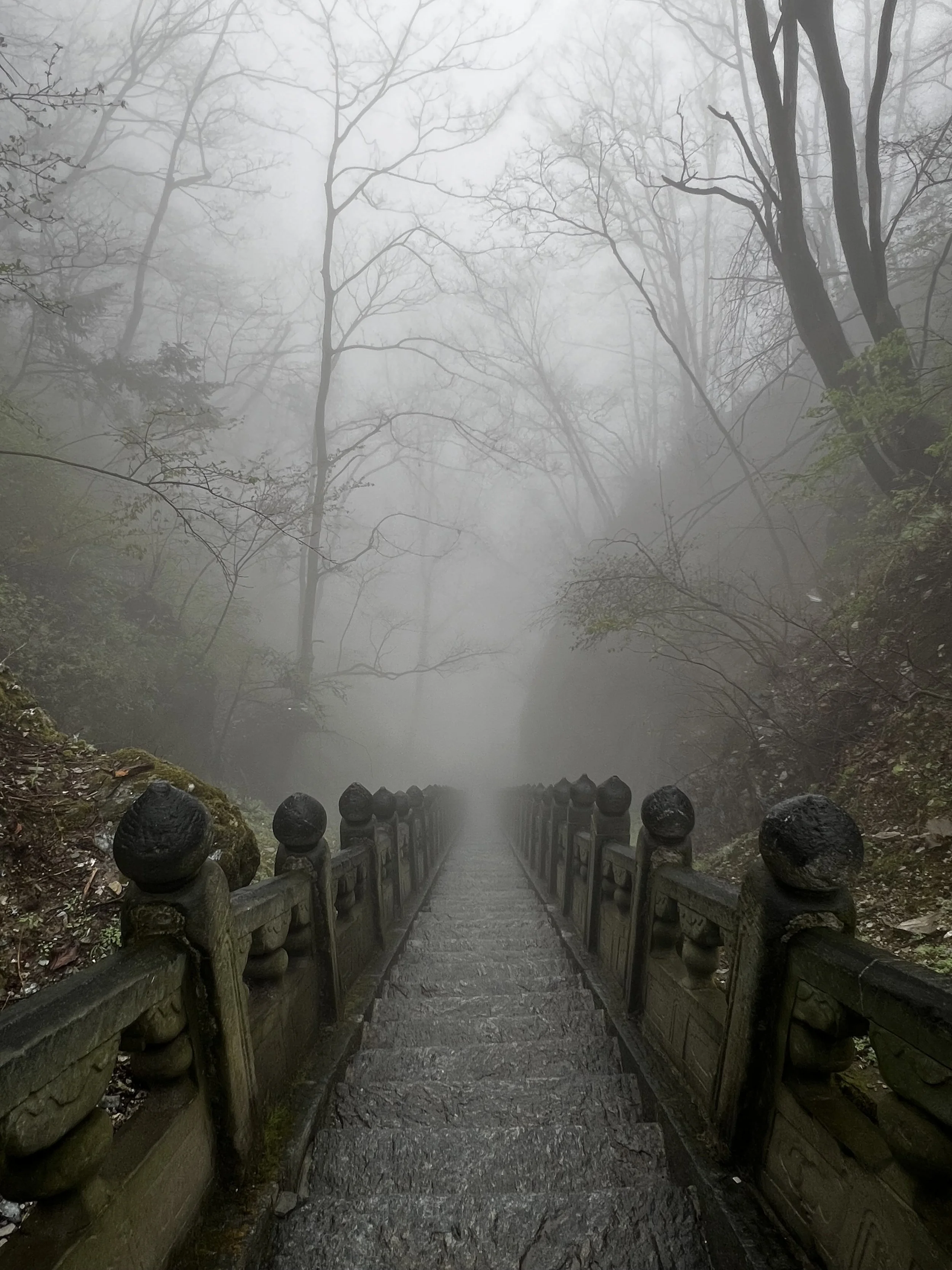 Stone steps leading down through a foggy forest with bare trees and mossy rocks on the sides.