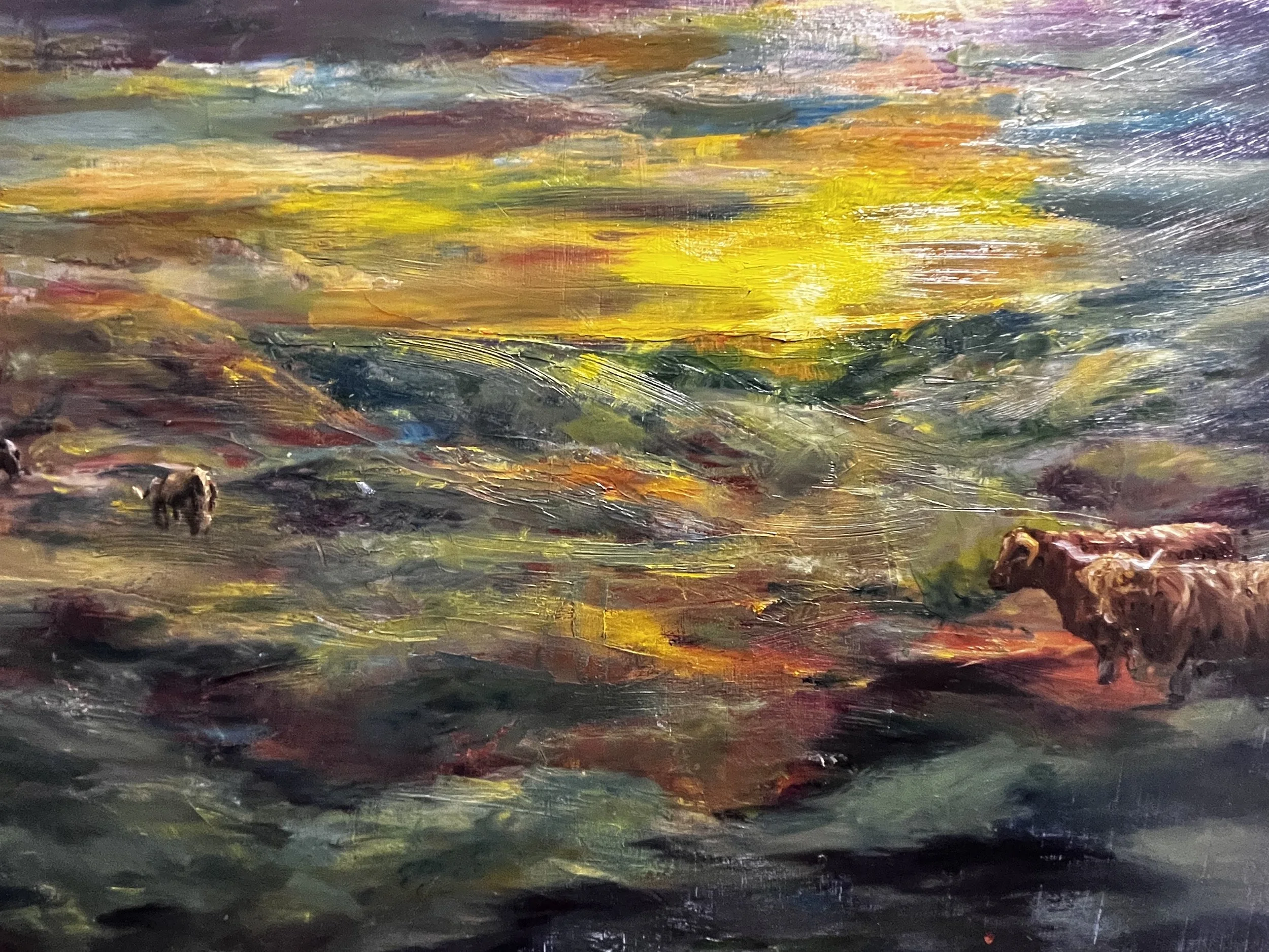 Highland Cattle. Oil on board
