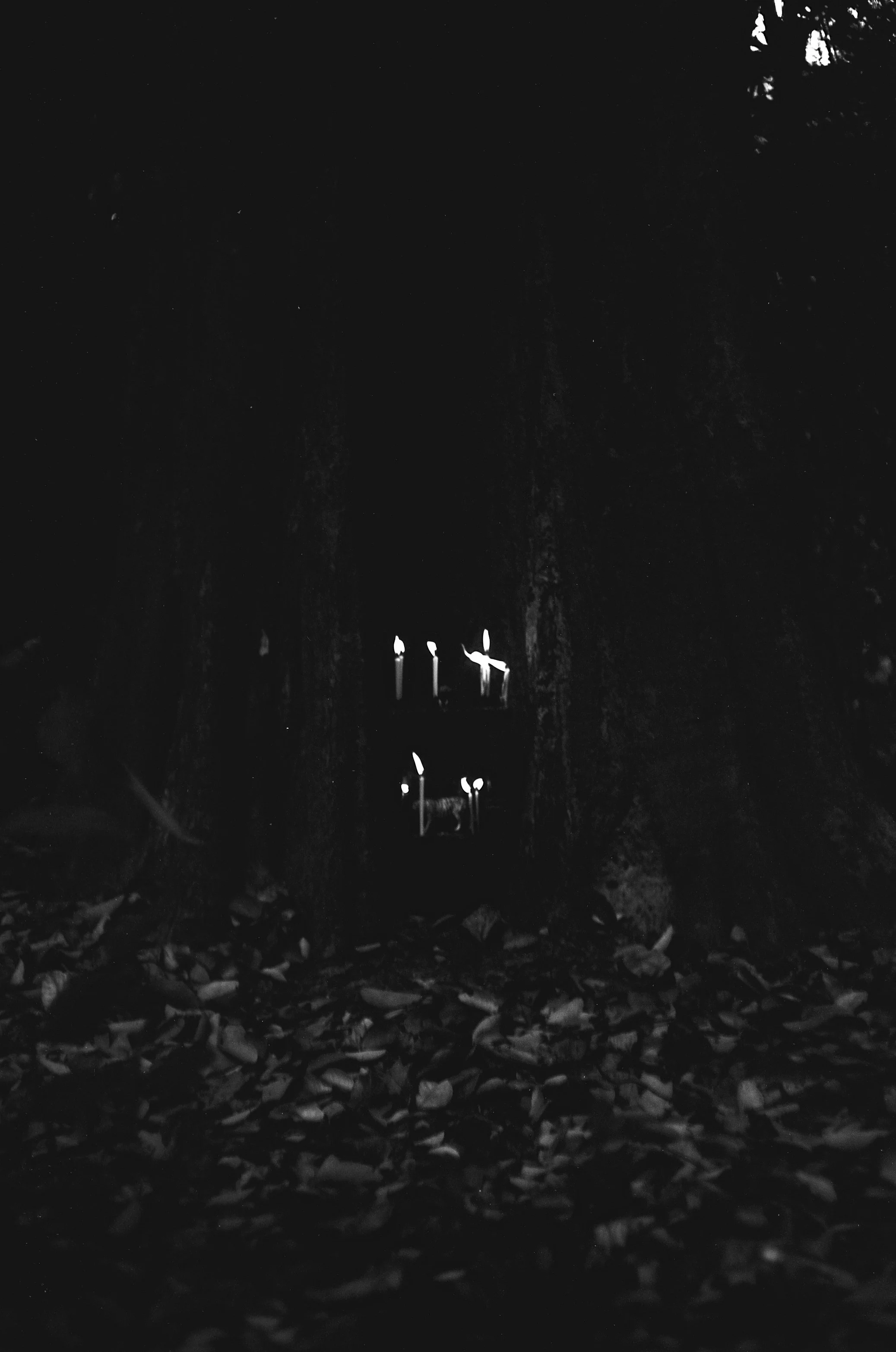 Dark forest scene with a small shrine or altar with lit candles on the ground, surrounded by fallen leaves.