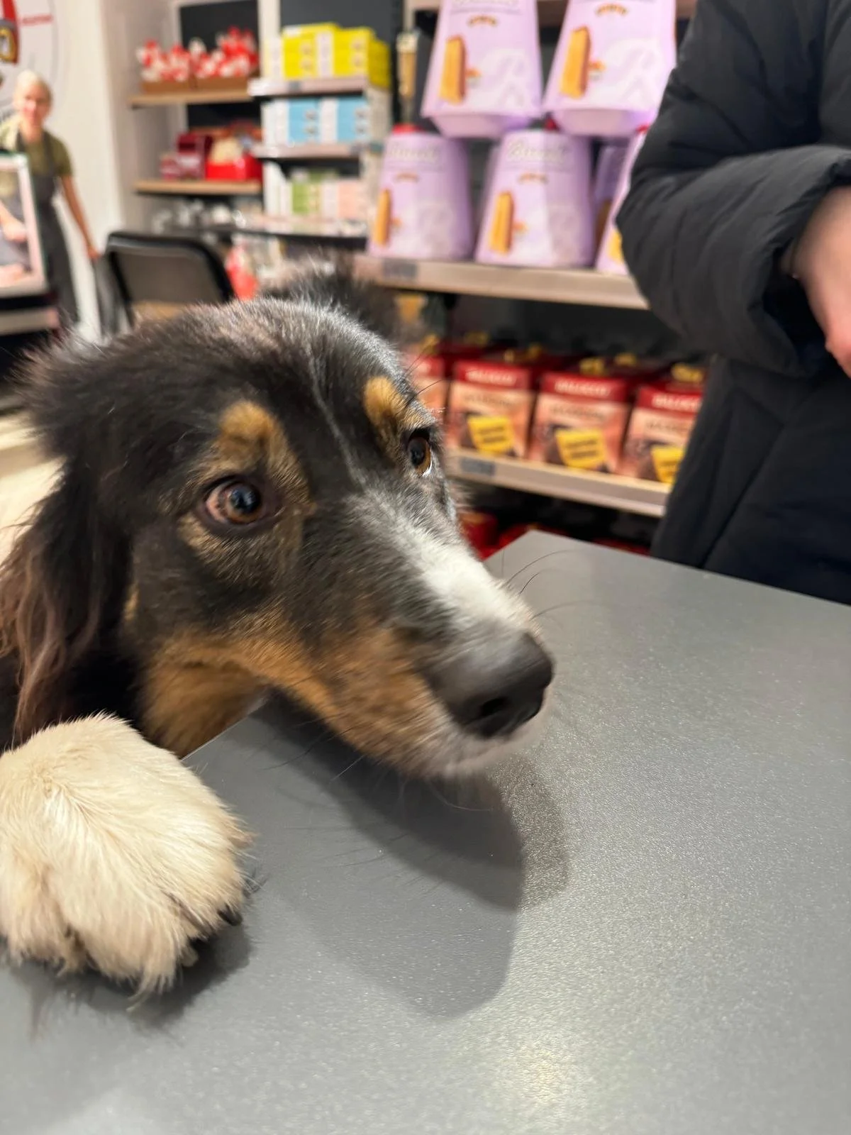 WhatsApp Image 2026-02-05 at 13.18.39.jpeg