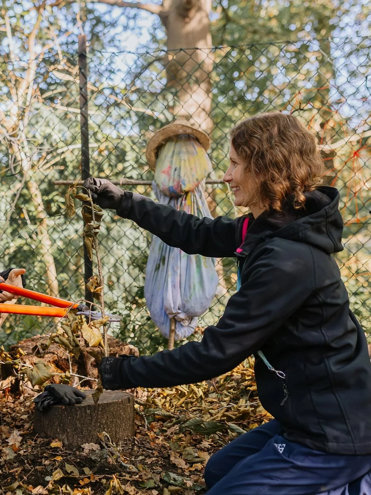 A woman with curly hair wearing a black jacket and gloves is pruning a small tree or shrub in a garden or park during fall, with fallen leaves on the ground and a chain-link fence in the background.