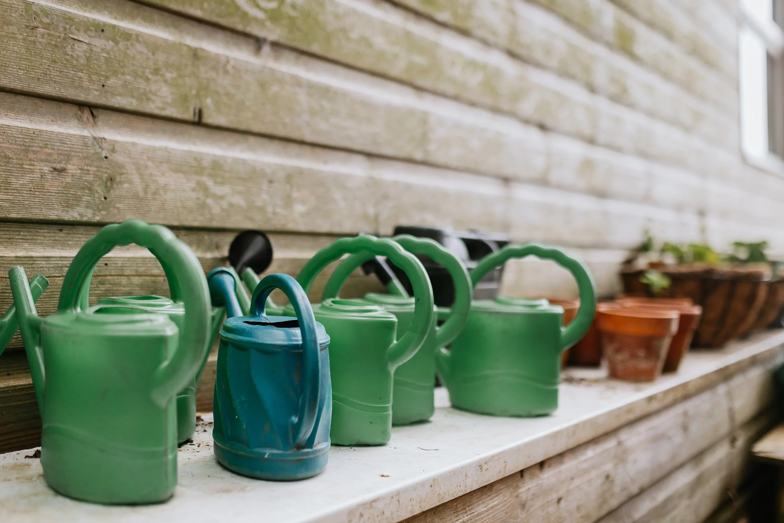 A row of green watering cans and small flower pots on a wooden shelf outside.