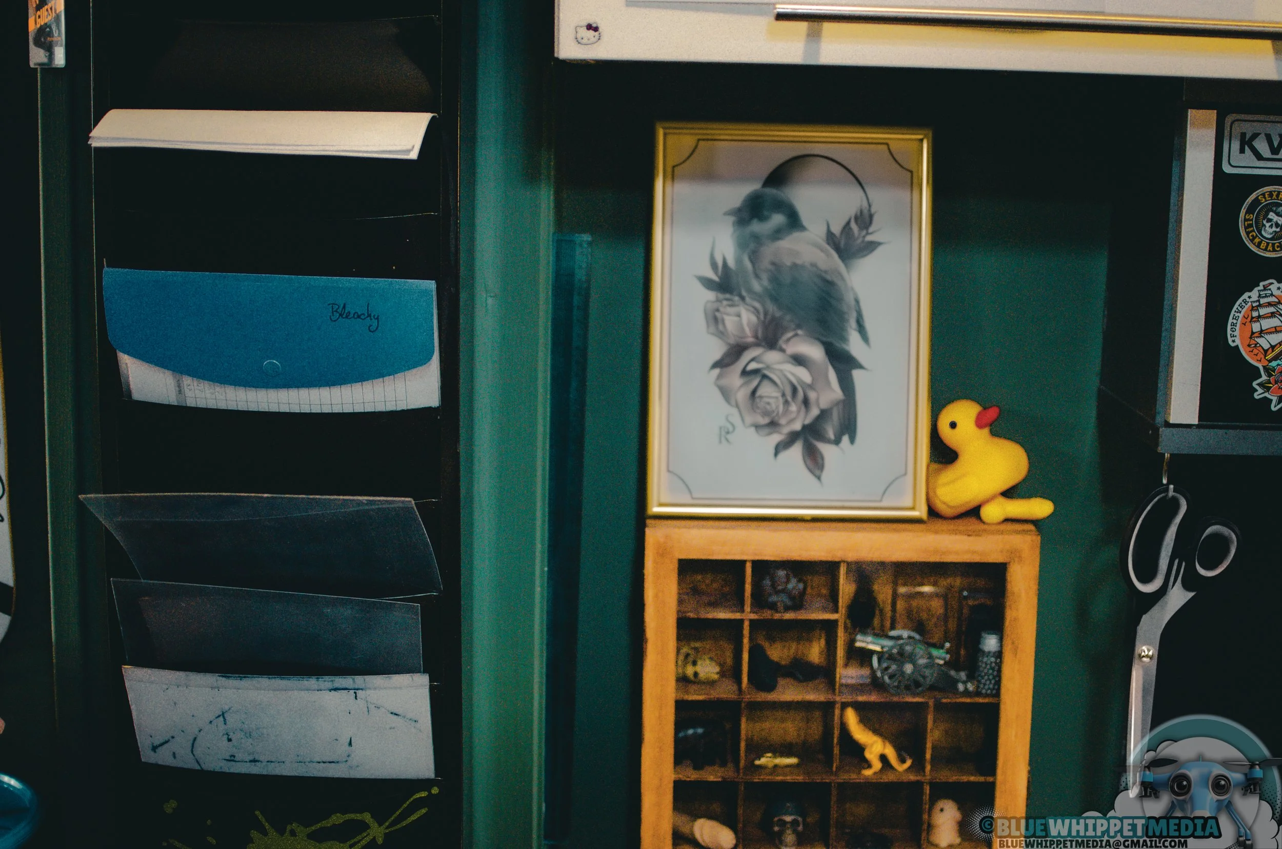 Blue Whippet Media photography and drone services in Surrey