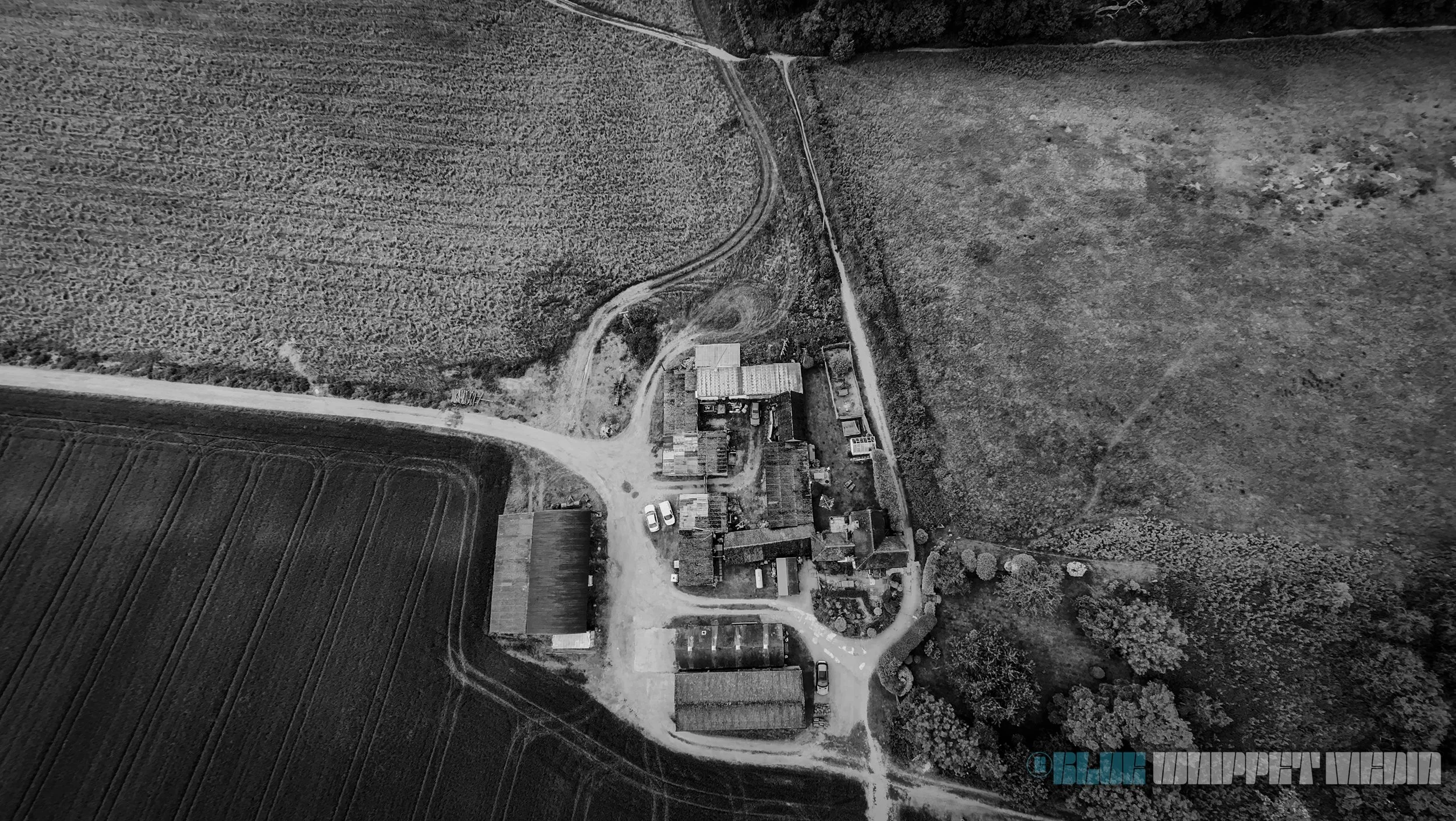 Visual content created for branding and promotion