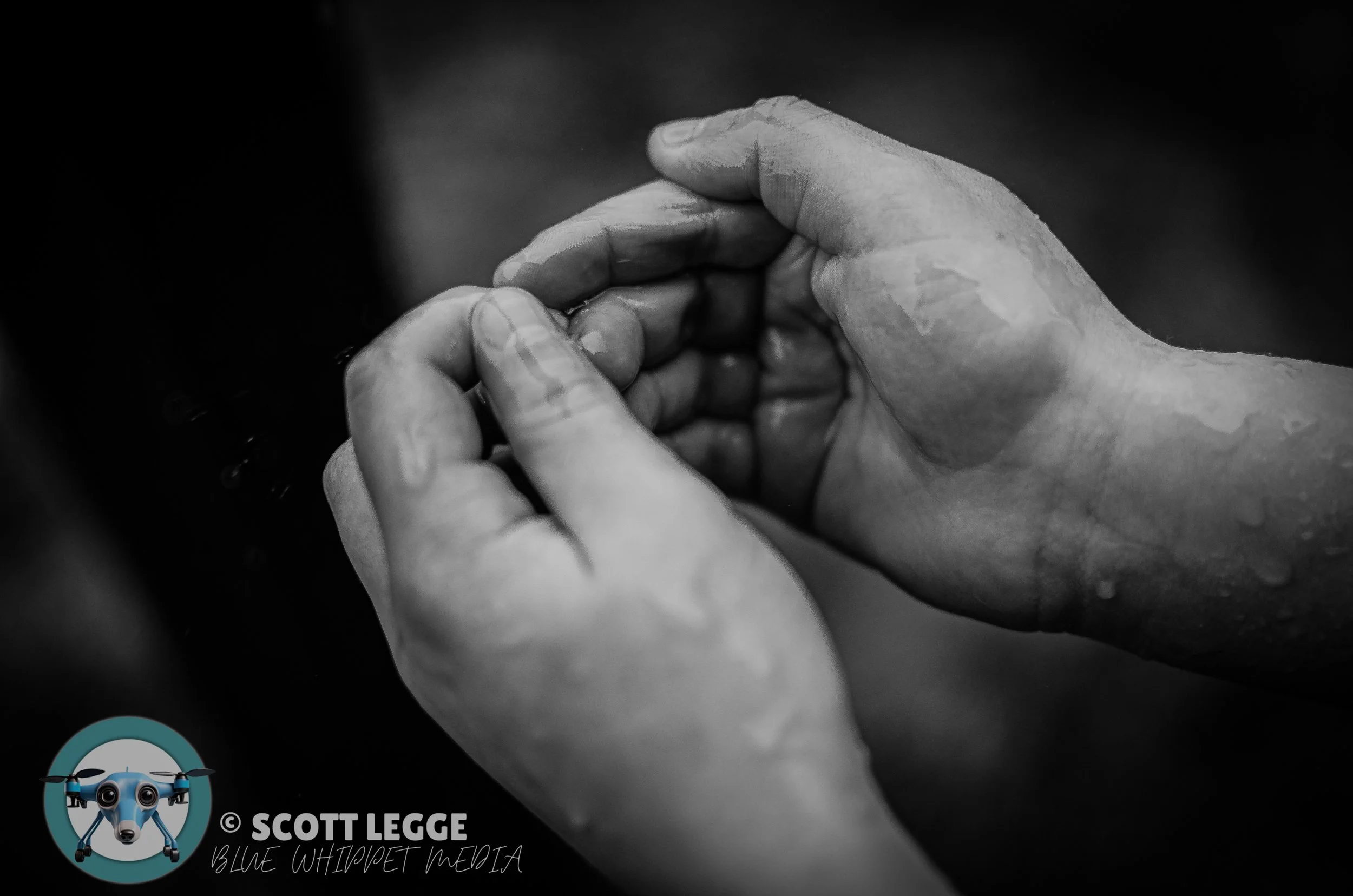 Event photography captured with a professional eye