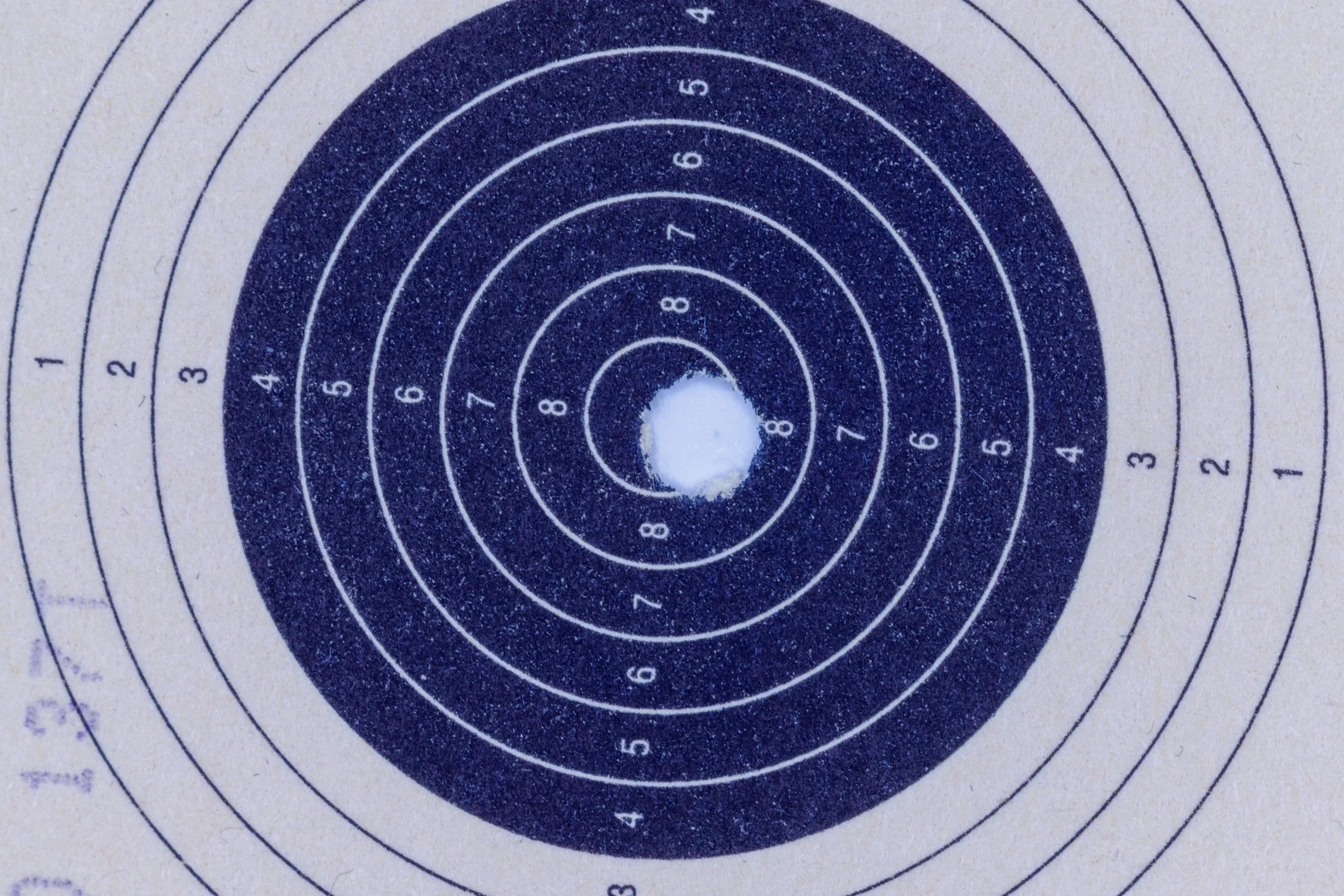Zielscheibe mit konzentrischen Kreisen und Nummern von 1 bis 10, die für Schießübungen verwendet wird.