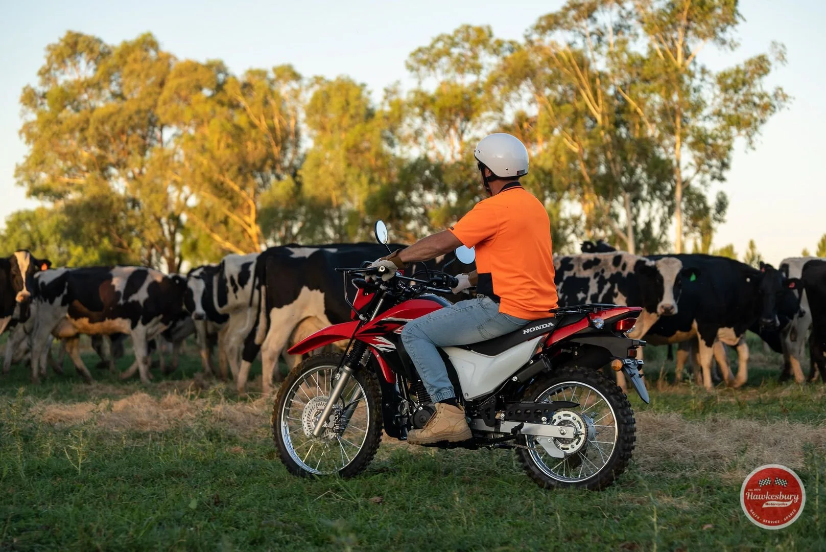 hawkesbury-motorcycles-hmdirt-honda-set-2-06891-1920.jpg