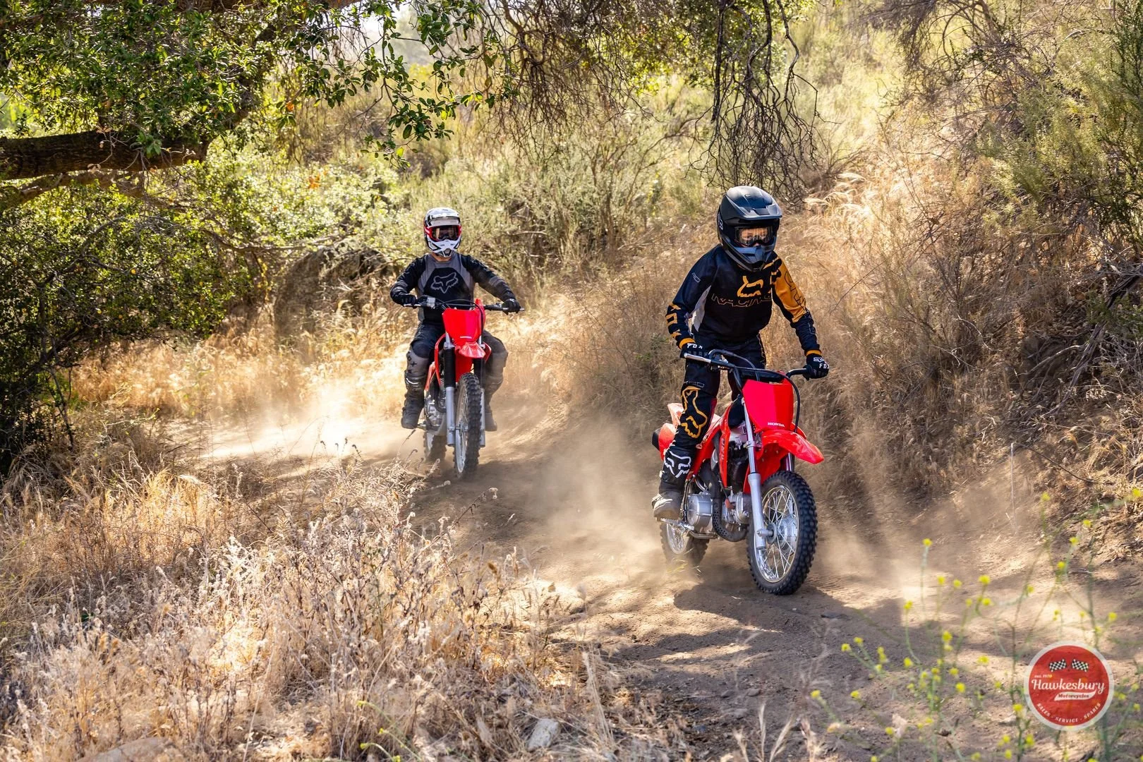Two motorcyclists riding dirt bikes on a dusty trail through a dry, wooded area, wearing helmets and protective gear.
