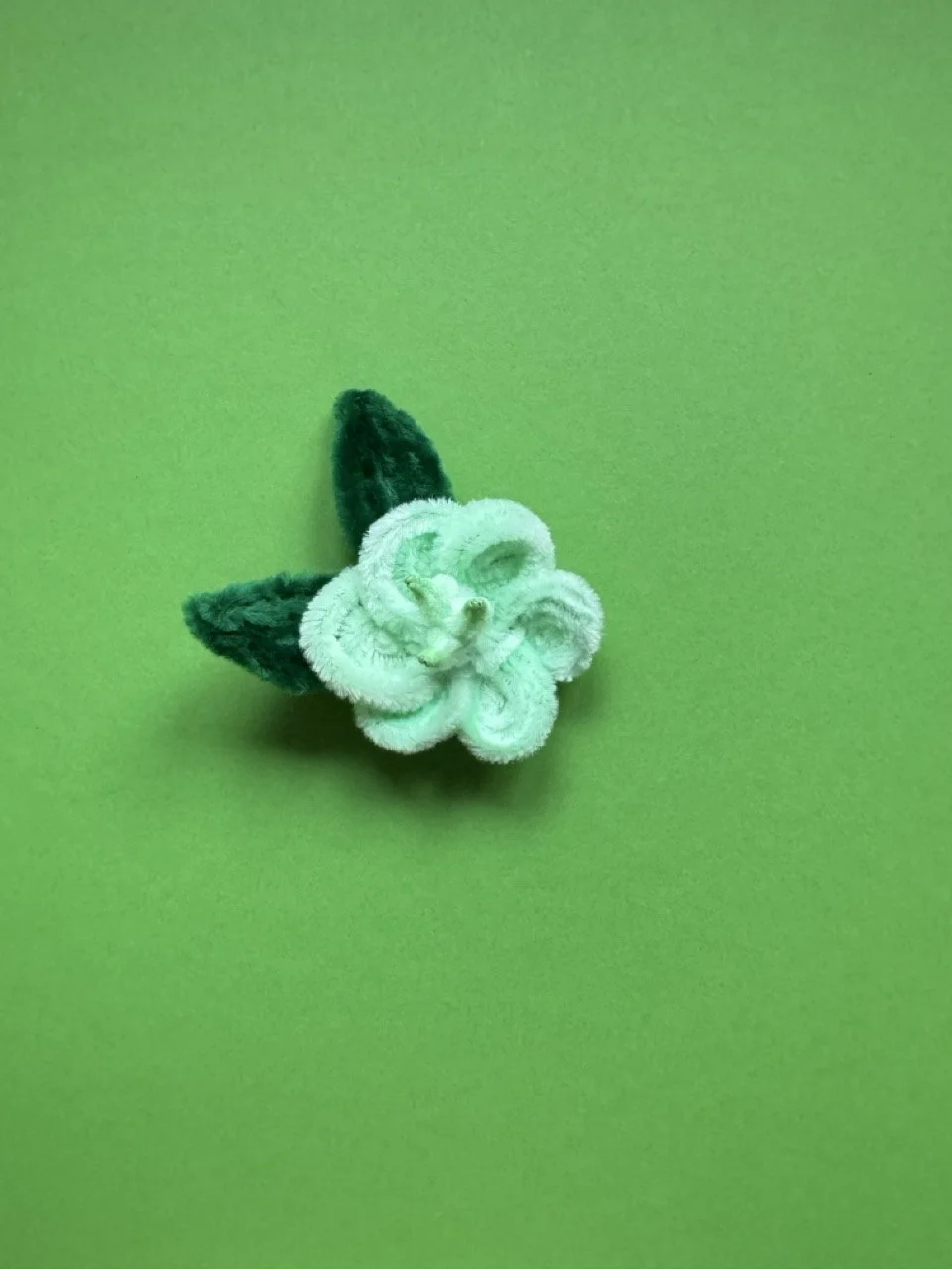 Hellebore - magnetic flower