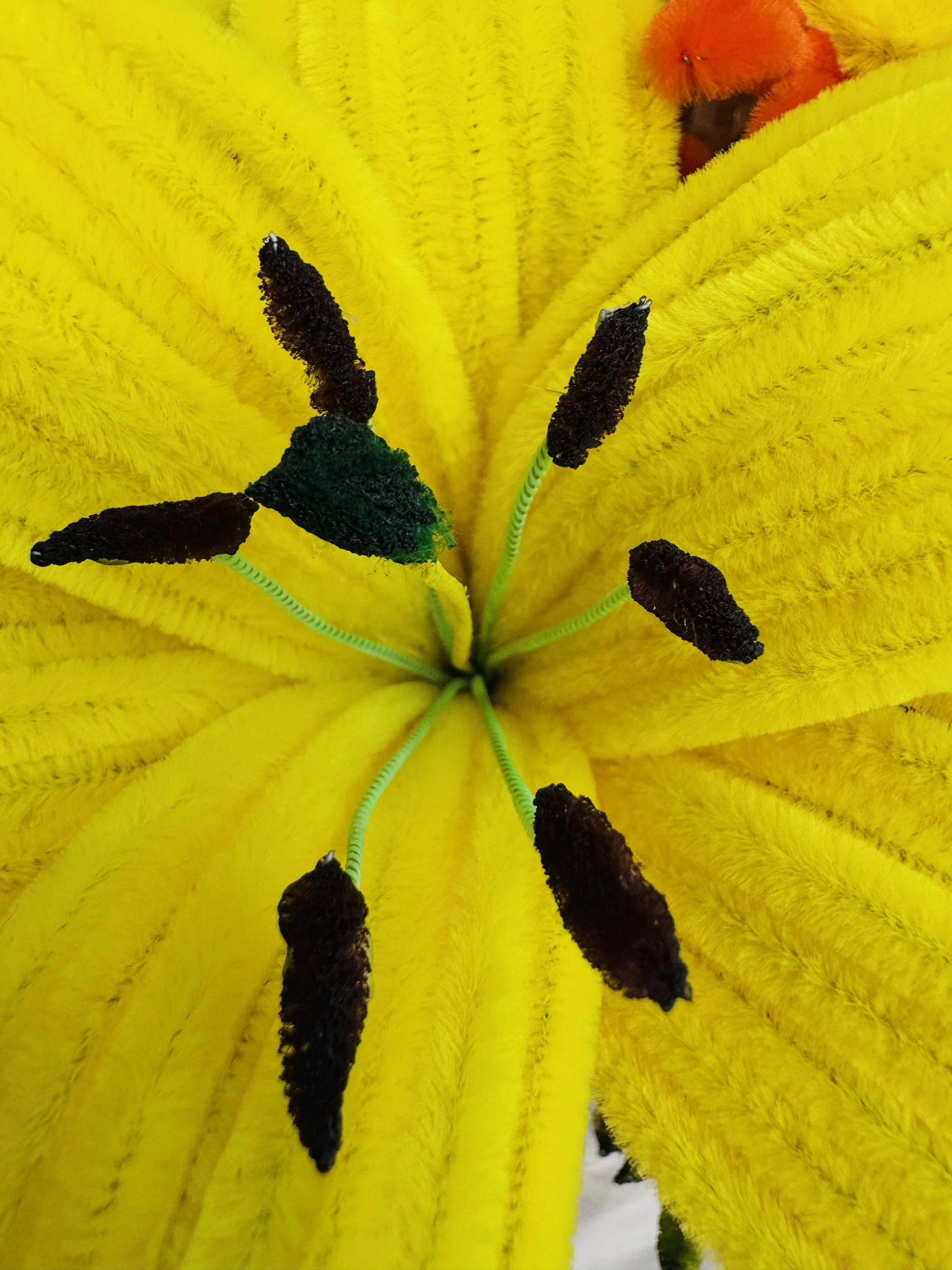 IMG_3813.jpeg