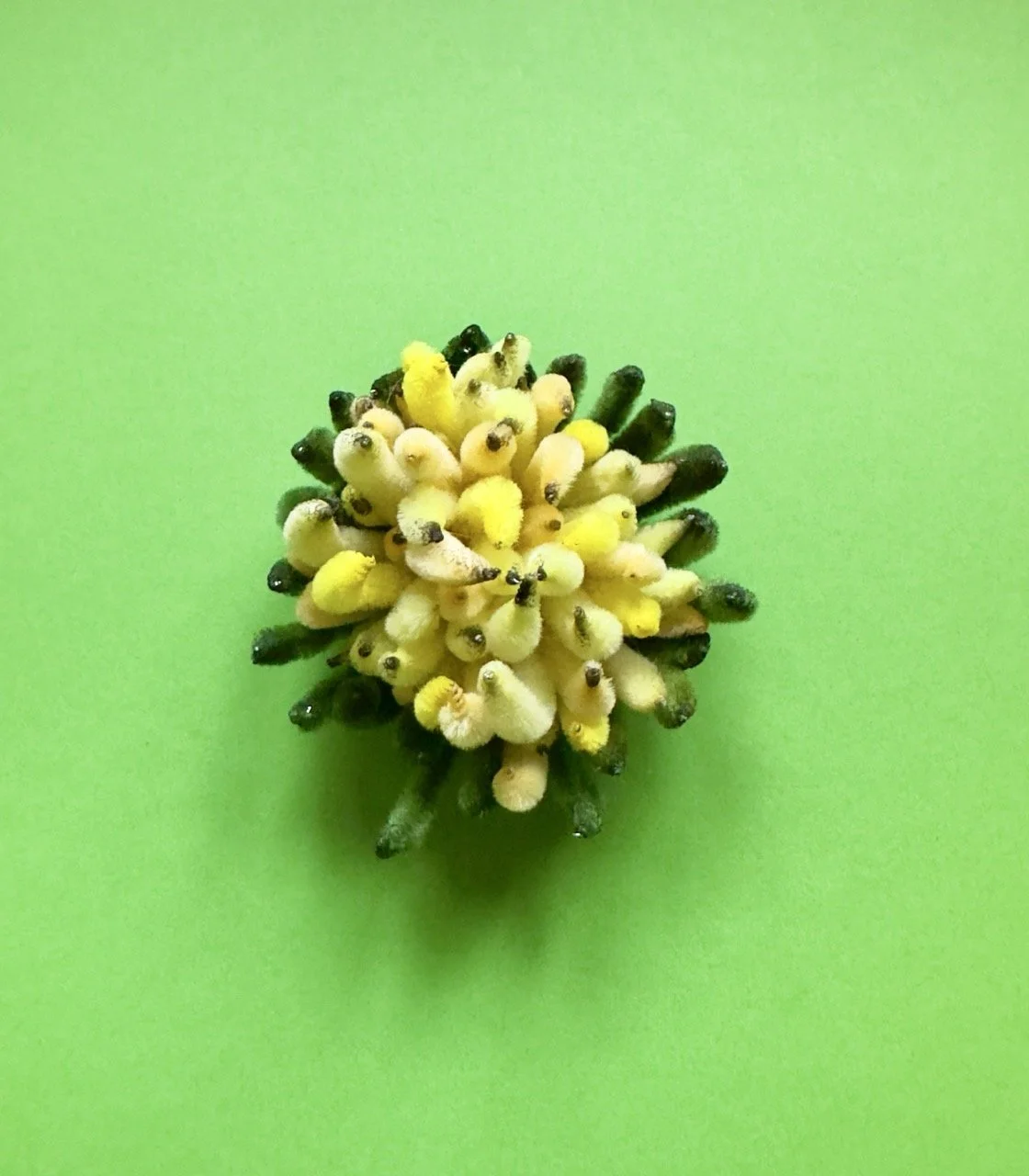 Yellow Chrysanthemum - magnetic flower