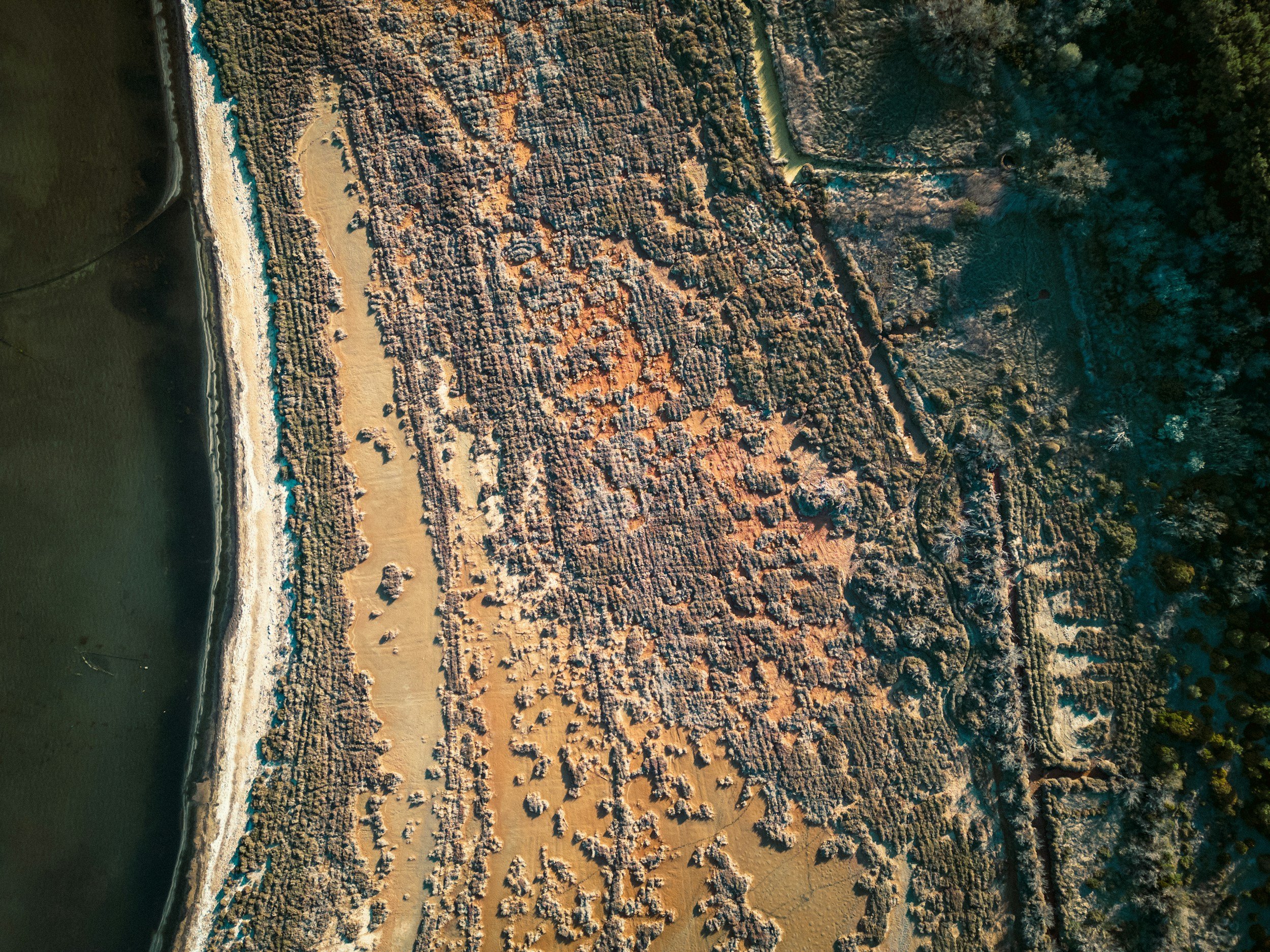 Fitou activite leuscoot scooter