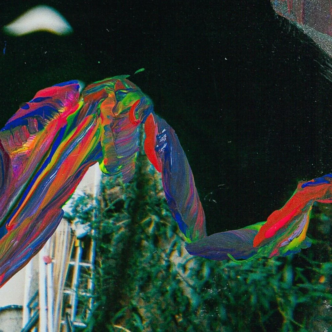 sound waves in the backyard-zoom03-camilleguerriergeiss.jpg