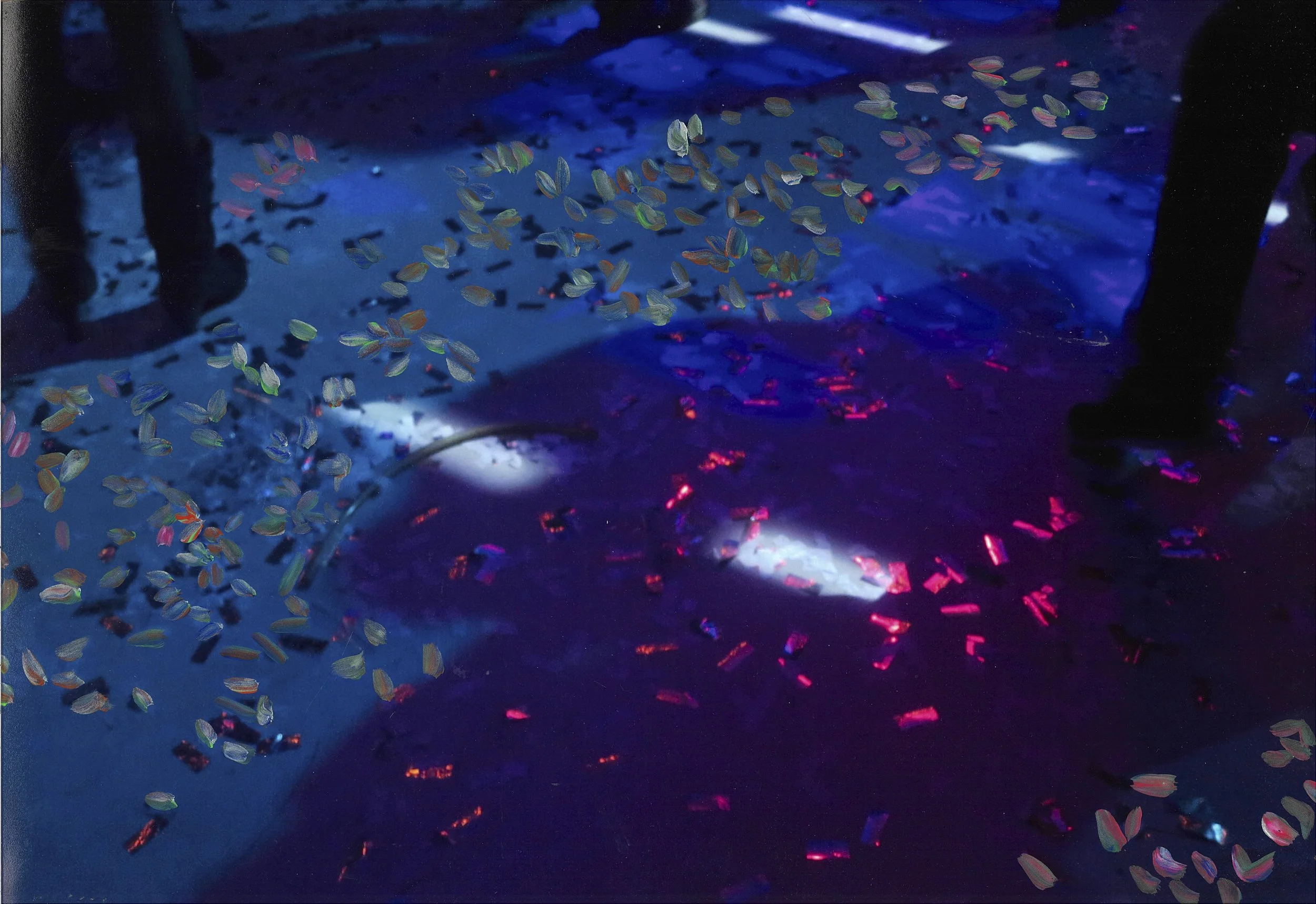 Confettis - Camille Guerrier Geiss