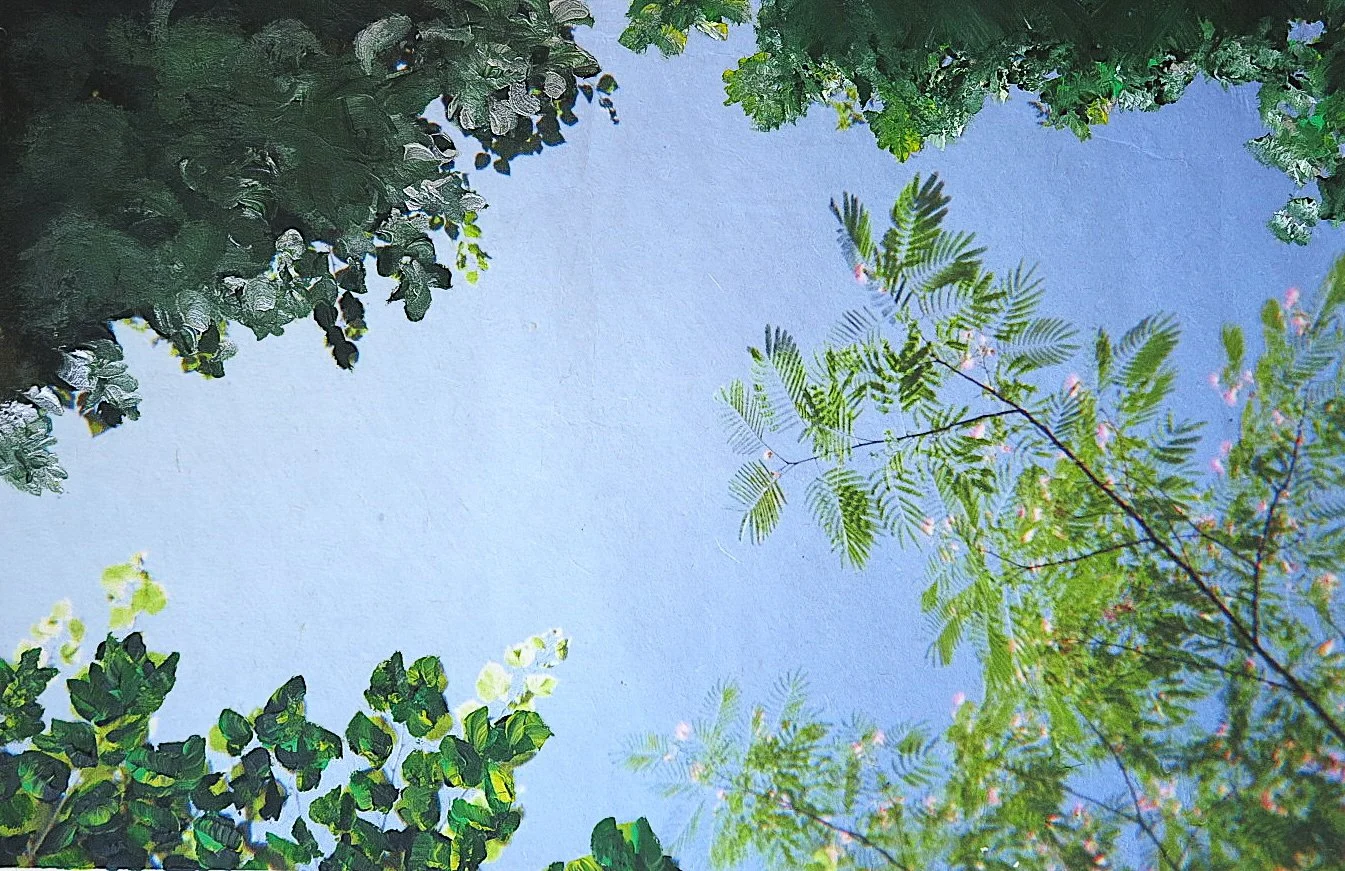 Un arbre à soi - camilleguerriergeiss