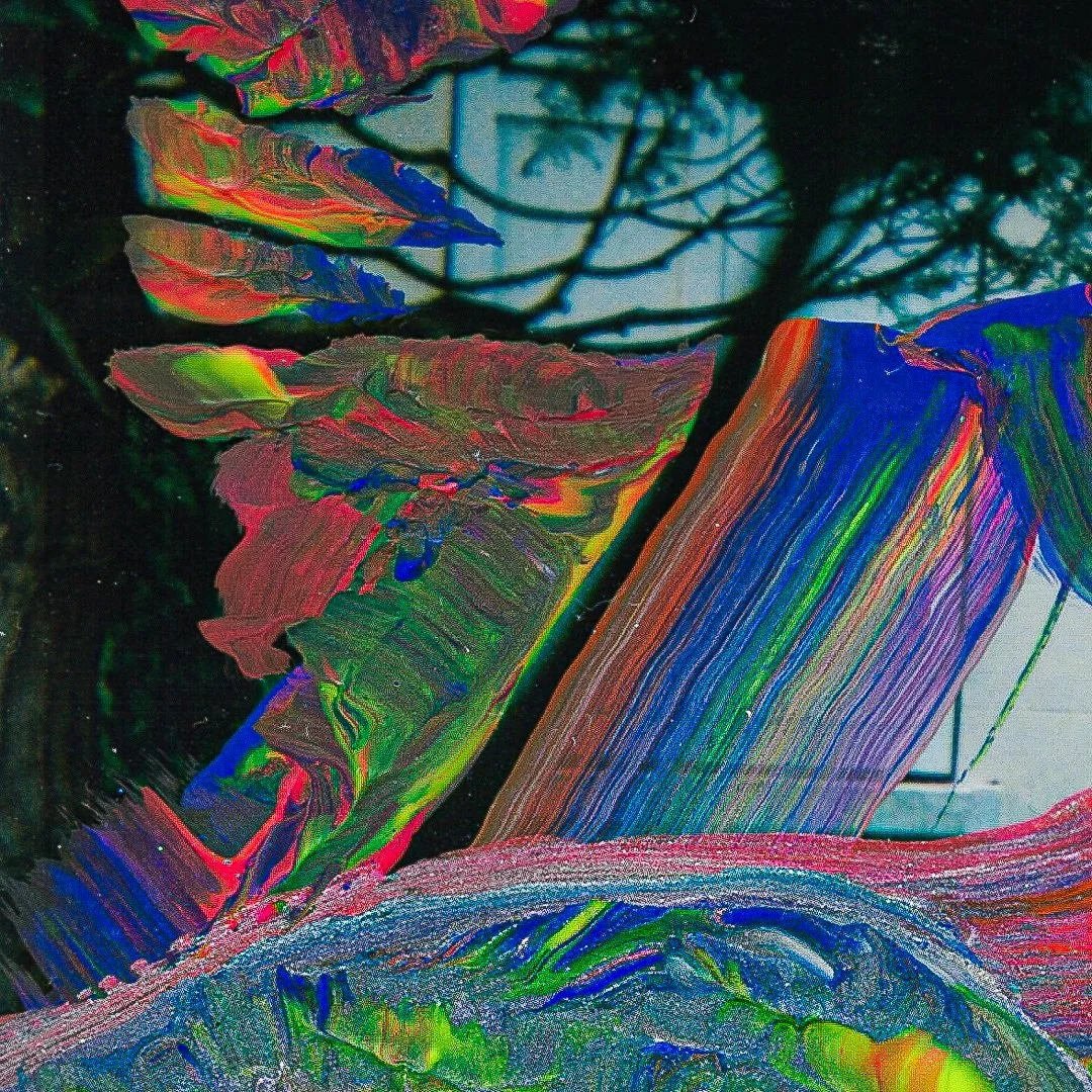 sound waves in the backyard-zoom02-camilleguerriergeiss.jpg