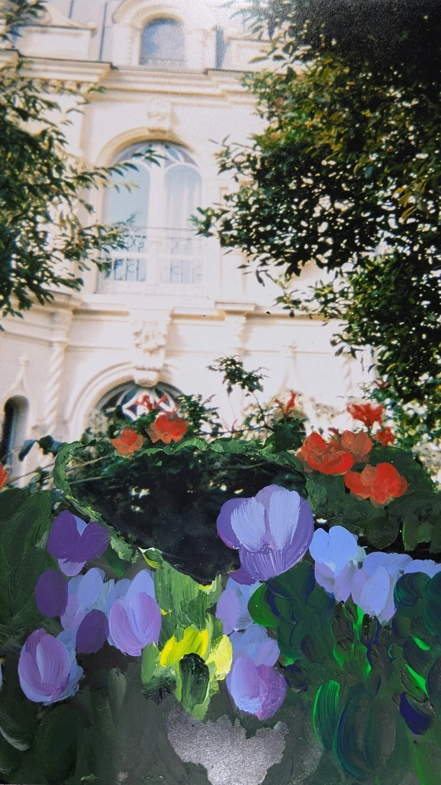 PXL_20260409_103933560.jpg