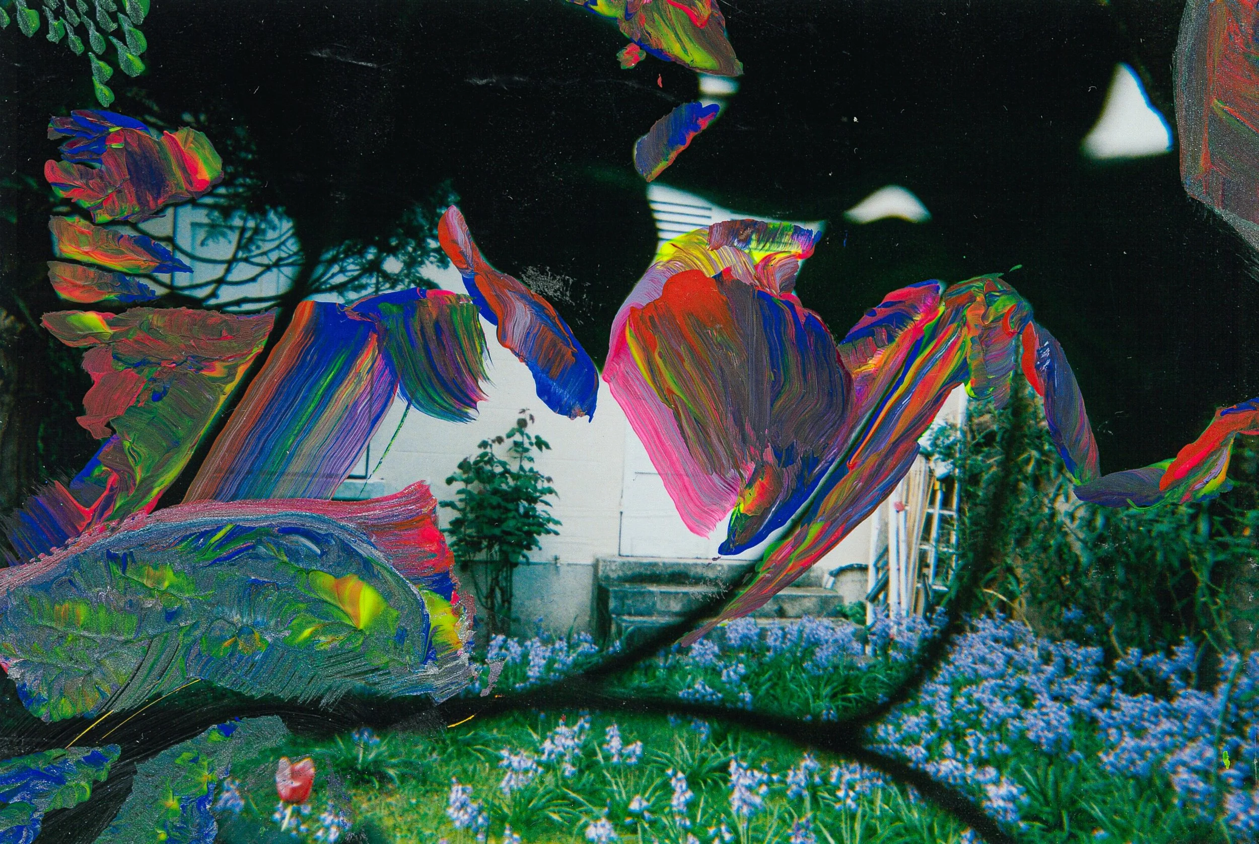 Sound waves in the backyard