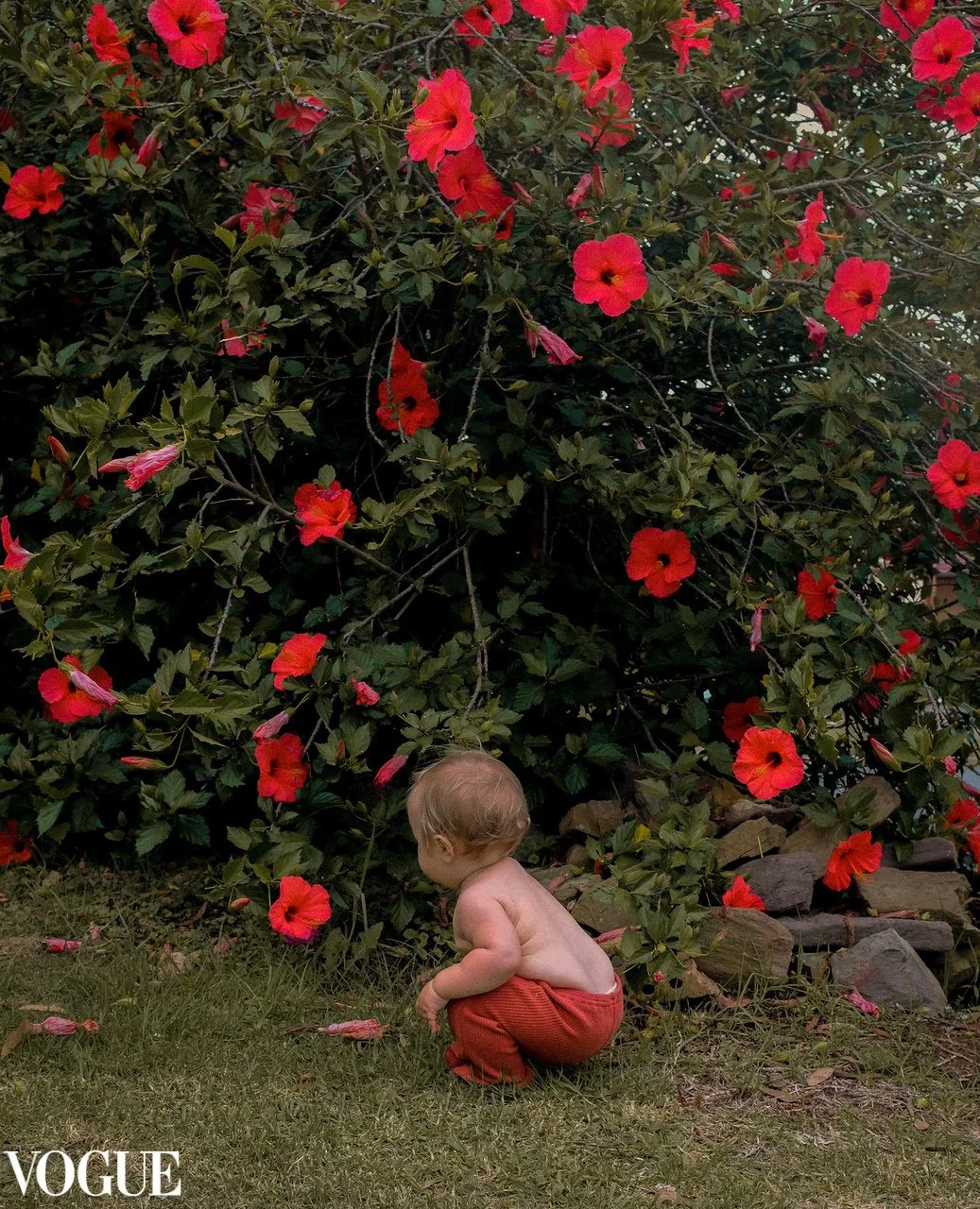 best of photovogue.jpg