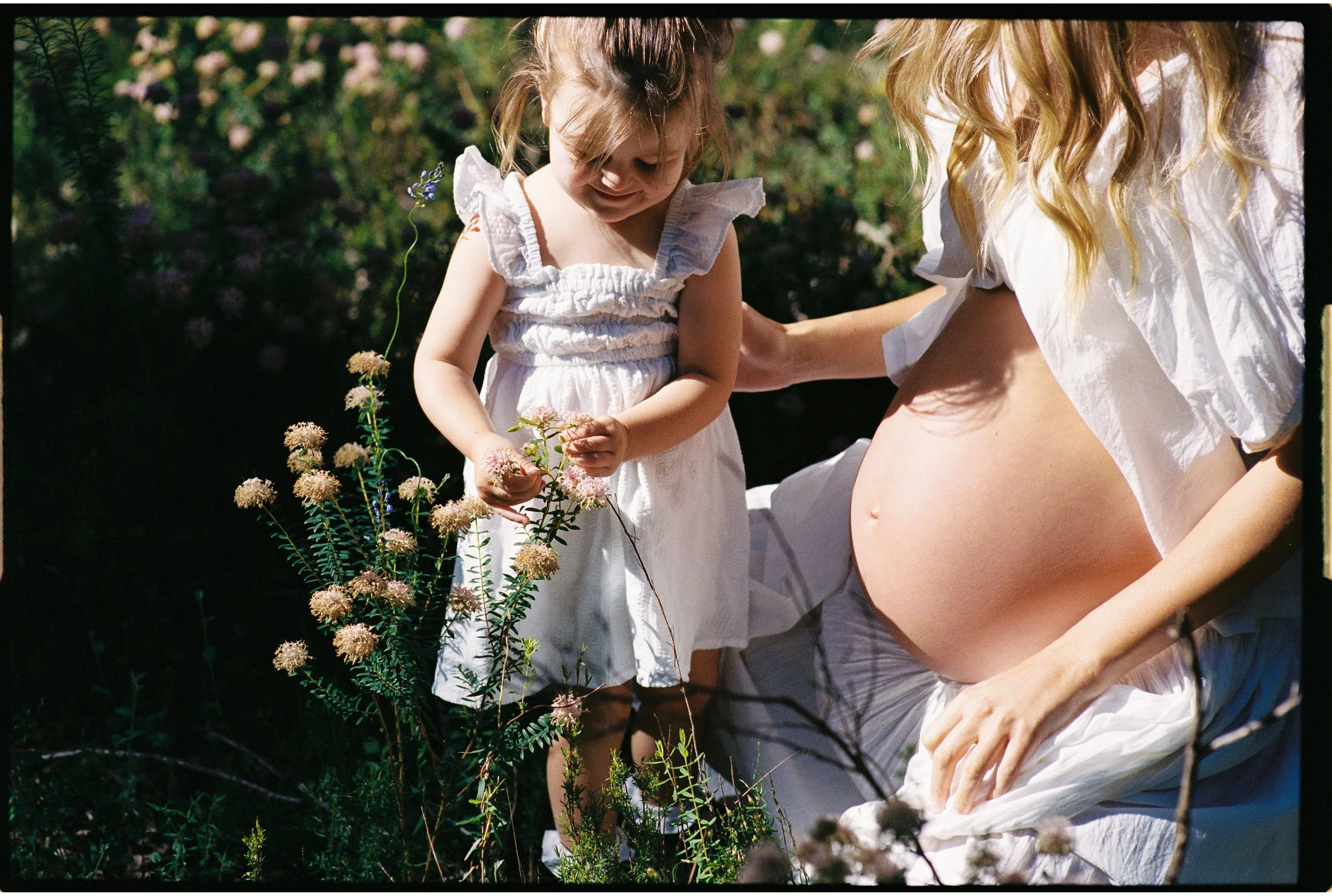 A 35mm film photo at a matenity motherhood photoshoot of pregnant woman and her young daughter in white dresses outdoors in nature amongst the spring flowers.