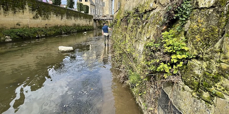 Man staat in een rivier onder een brug, met uitzicht op oude gebouwen, naast een met groen bedekte stenen muur.