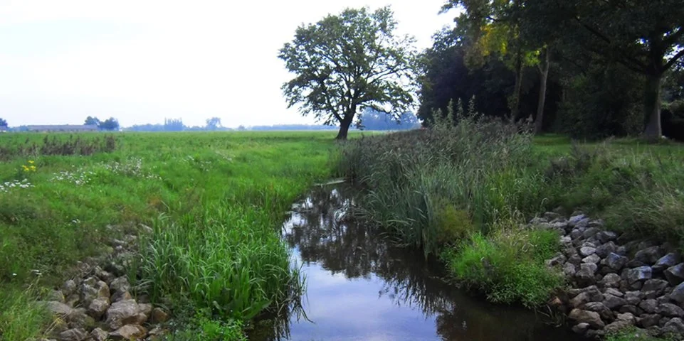 Ontsluiten vergunningenarchief Rijkswaterstaat Oost-Nederland