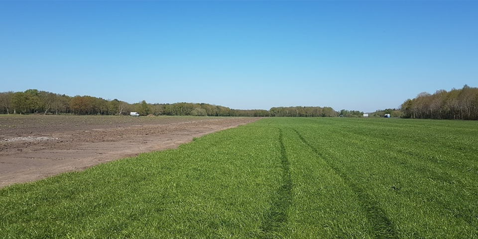 Geothermisch onderzoek zonneparken Oost-Nederland
