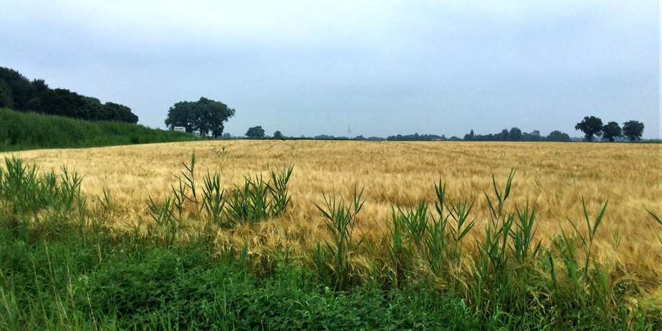 Raamovereenkomst bodemonderzoek en veldwerkzaamheden Midden- en West-Brabant