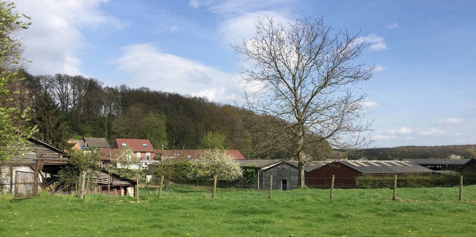 Paardendressuurinrichting Landgraaf