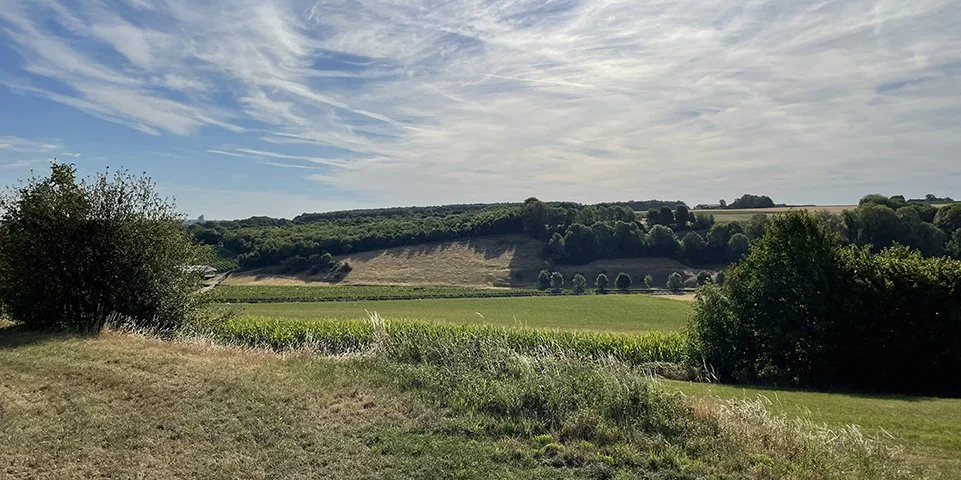 Inrichting Nieuwe Natuur Geuldal en Kunderberg