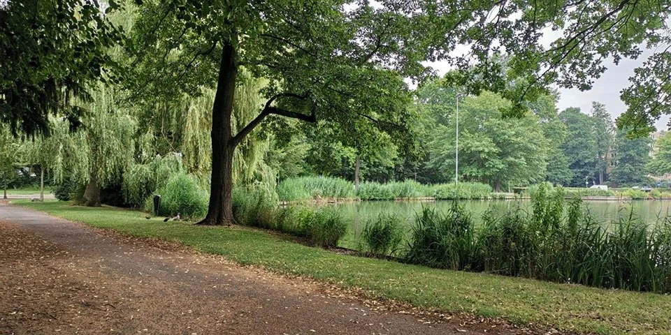 Herinrichting Stadspark Sittard en Geleenbeek