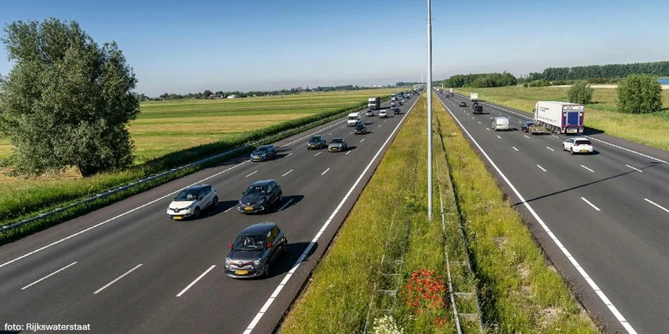 Nieuwe inzichten in verkeersverstoring broedvogels: publicatie in Landscape Ecology