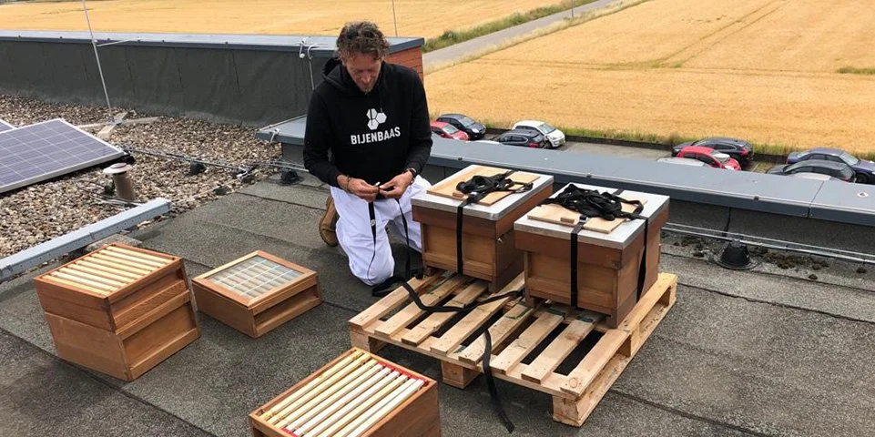 Urban beekeeping op hoofdkantoor Geonius in Geleen